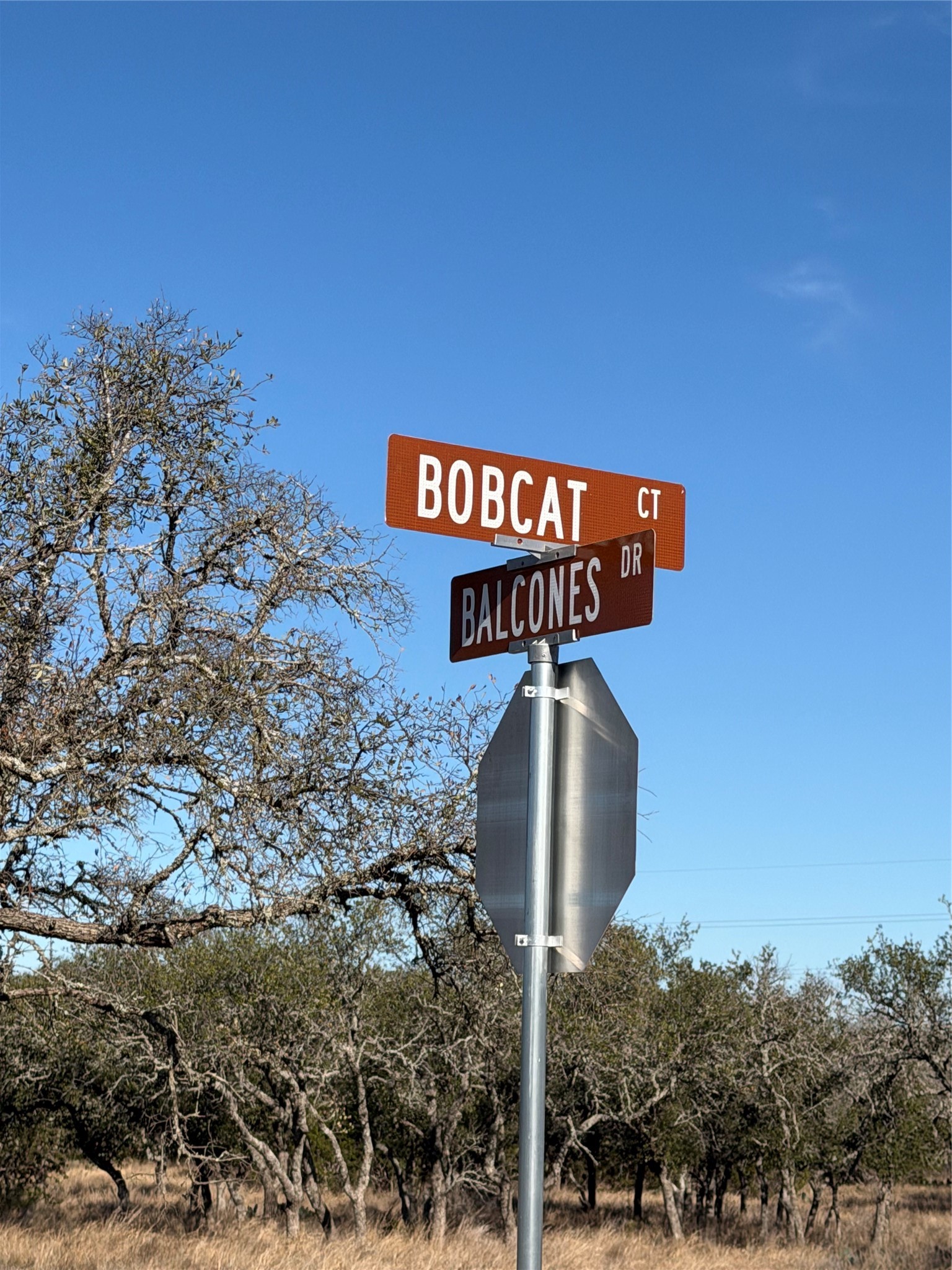 Lot 67 464th Ranch Johnson City, TX 78636 - Photo 8 of 9 a street sign that is on a pole