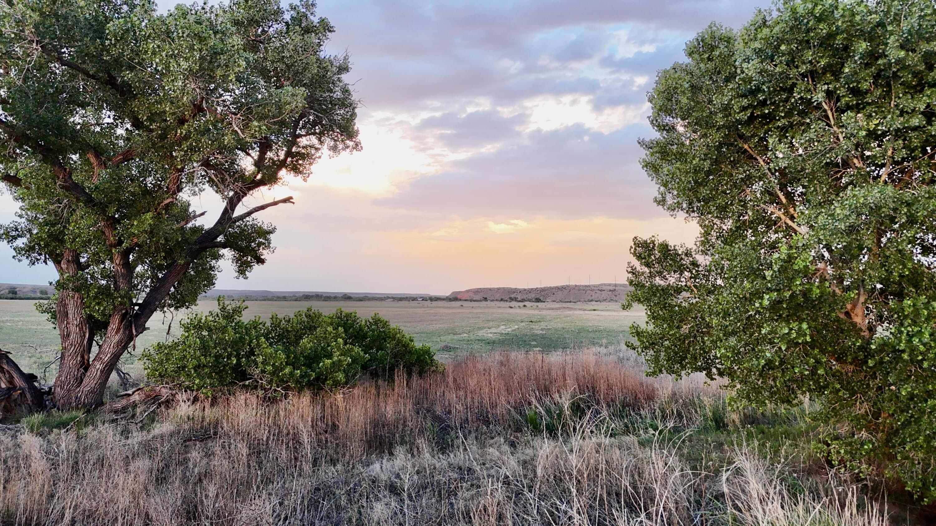 County Road West Vega, TX 79092 - Photo 13 of 20 DJI_20260625210009_0378_D