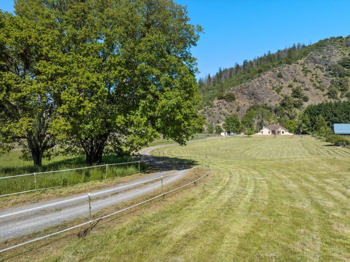 7813 Upper Applegate Road Jacksonville, OR 97530 - Photo 63 of 81 Gorgeous tree