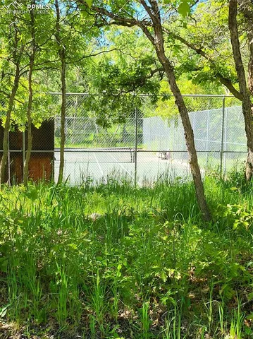 a view of a yard with plants and large trees
