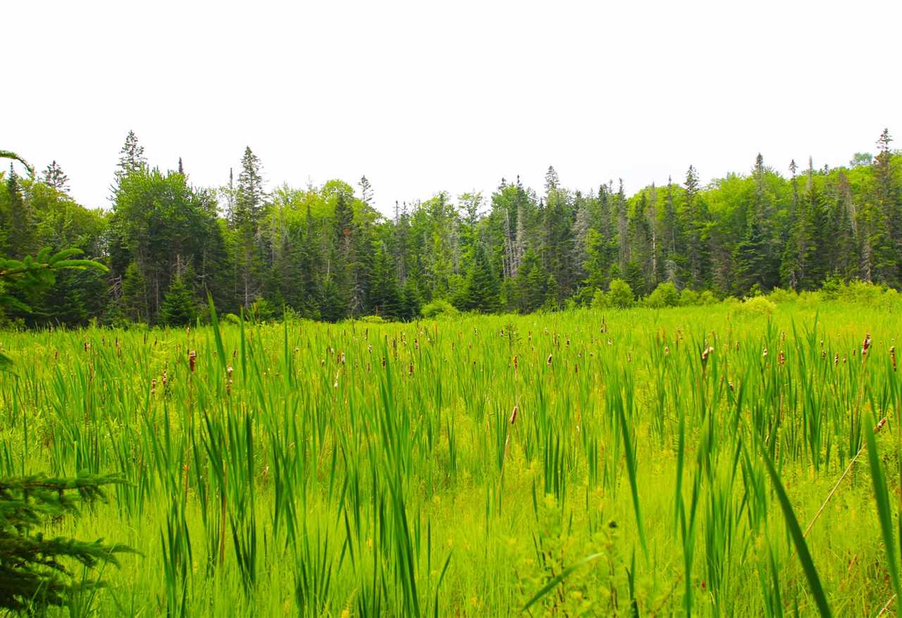 216 Clement Road Barre, VT 05641 - Photo 37 of 40
