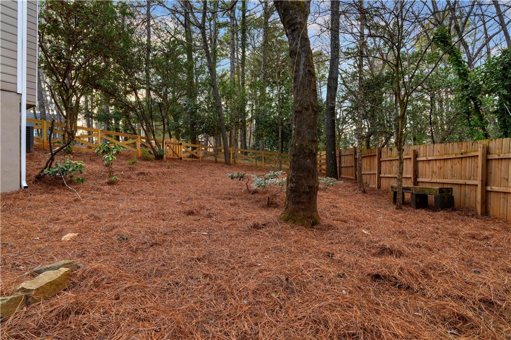 3907 Brinton Mill Road Marietta, GA 30062 - Photo 56 of 61 a view of a trees with a tree