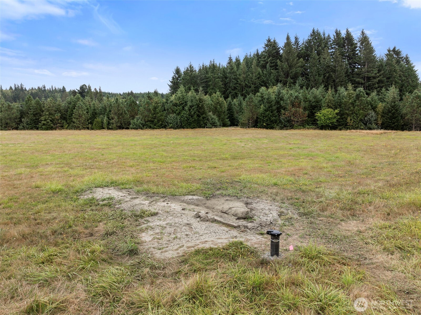 193 Mattson Road Centralia, WA 98531 - Photo 9 of 10 Gallery Image 9