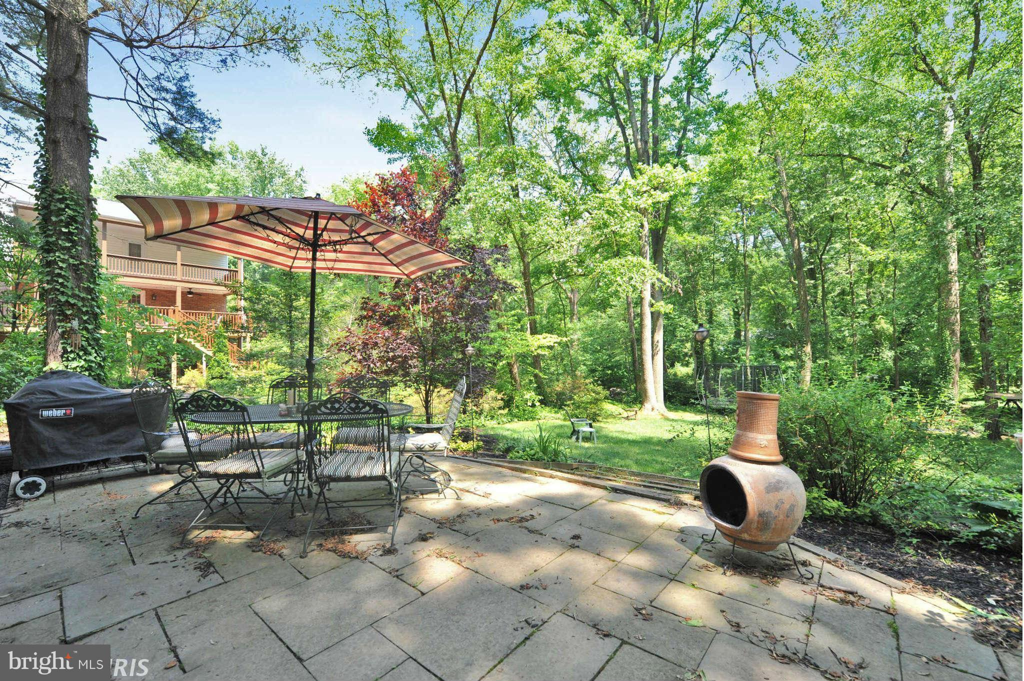 1625 Courtland Road Alexandria, VA 22306 - Photo 27 of 29 Exterior (Rear)