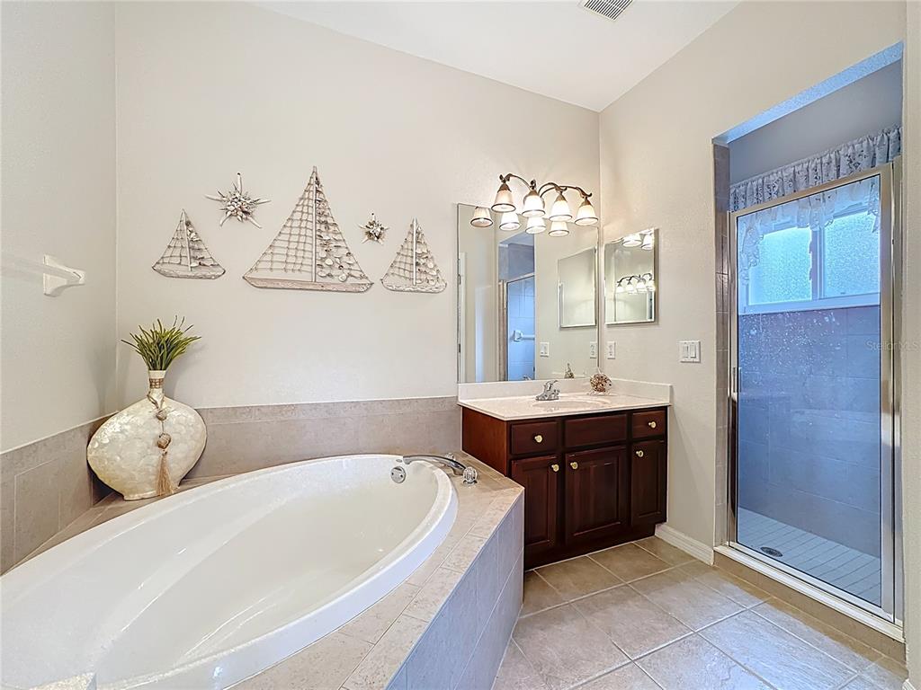8721 Stone Harbour Loop Bradenton, FL 34212 - Photo 35 of 71 a spacious bathroom with a tub sink and mirror