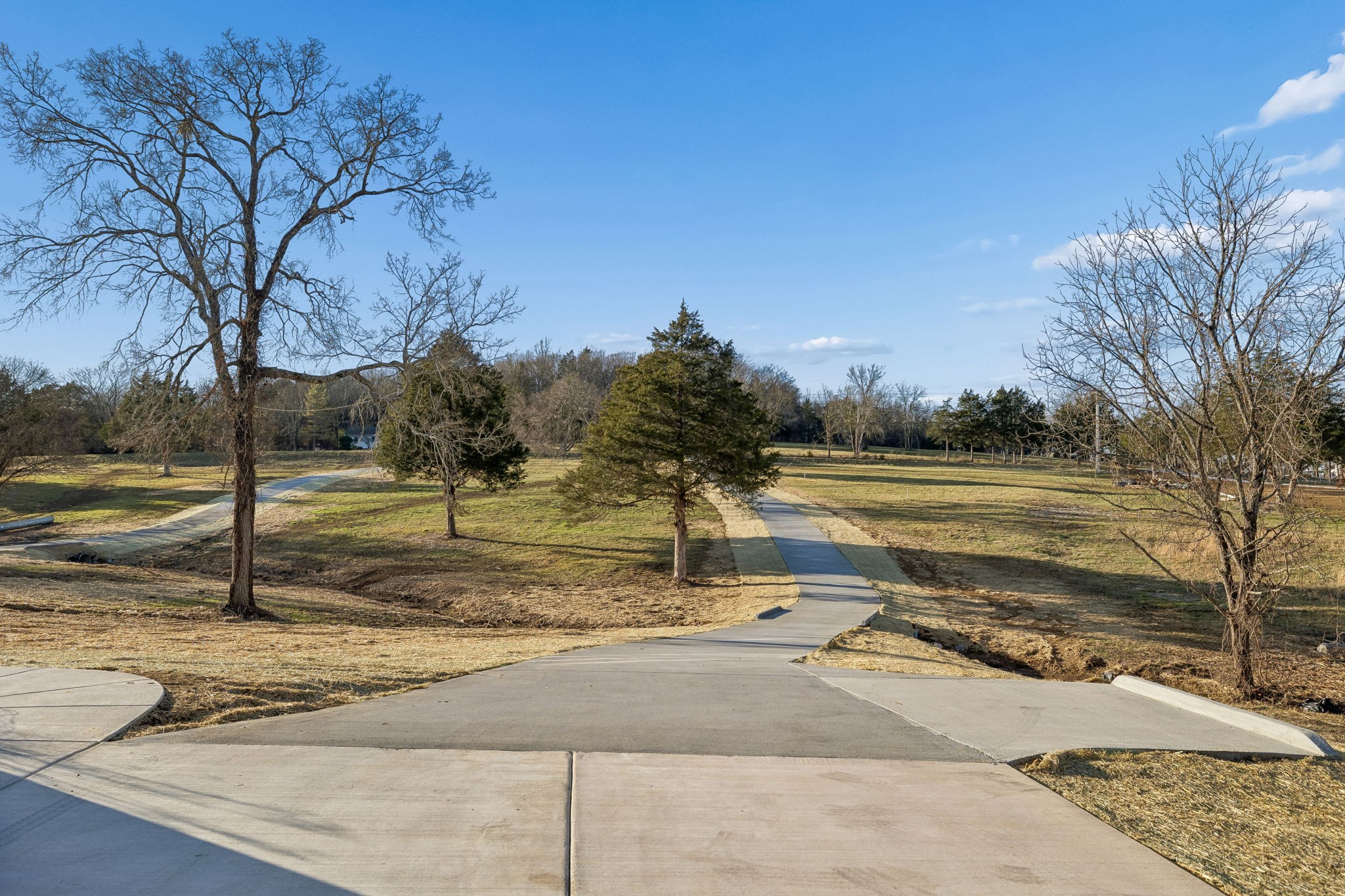 13645 Cainsville Road Lebanon, TN 37090 - Photo 7 of 60 a view of a yard with wooden fence