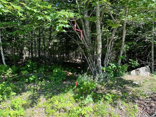 671 Stream Road Winterport, ME 04496 - Photo 22 of 47