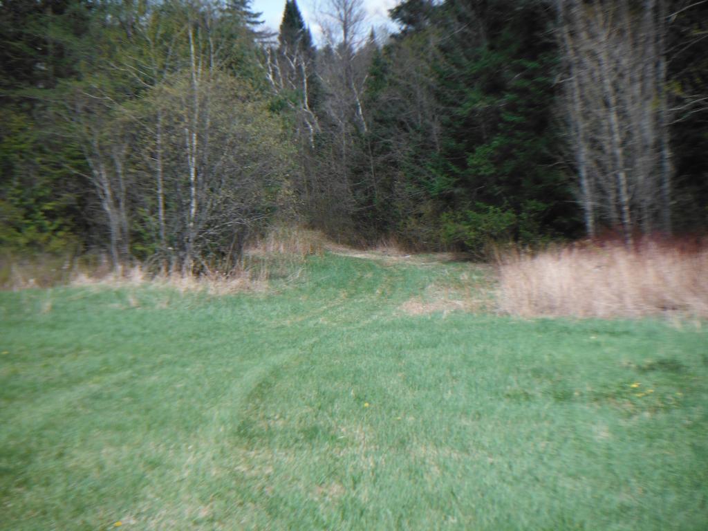 0 Chesley Hill Road Sheffield, VT 05866 - Photo 5 of 5 Gallery Image 5