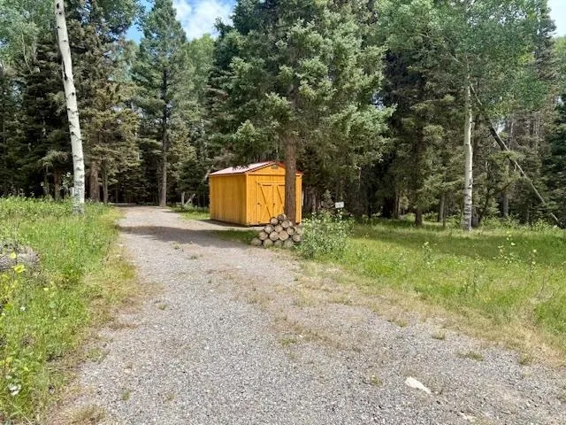 $100,000 | 450 Hazel Lake Drive, Cimarron, CO 81220