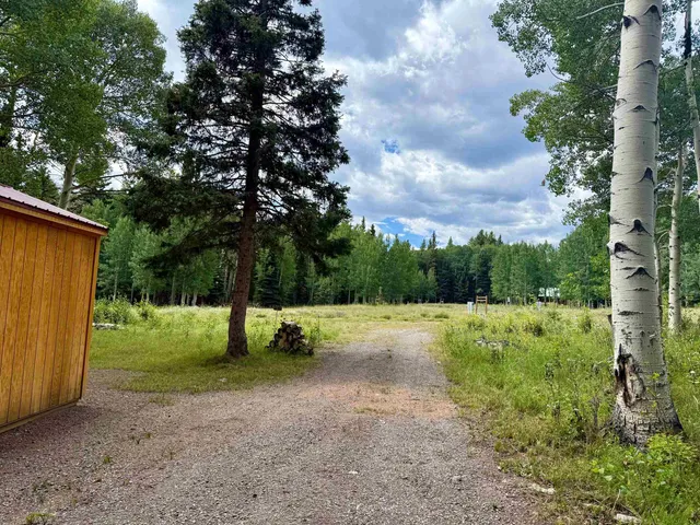 $100,000 | 450 Hazel Lake Drive, Cimarron, CO 81220
