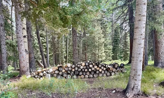 $100,000 | 450 Hazel Lake Drive, Cimarron, CO 81220