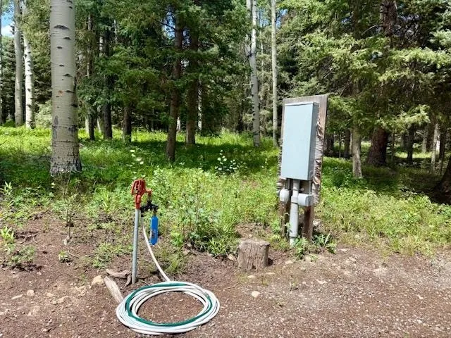 $100,000 | 450 Hazel Lake Drive, Cimarron, CO 81220