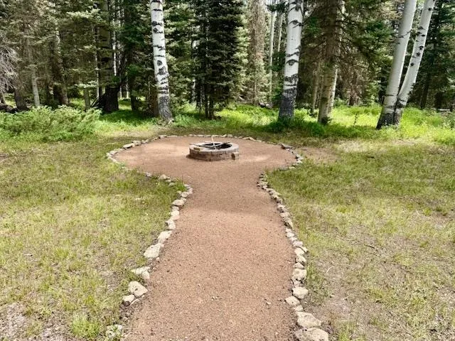 $100,000 | 450 Hazel Lake Drive, Cimarron, CO 81220