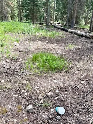 $100,000 | 450 Hazel Lake Drive, Cimarron, CO 81220