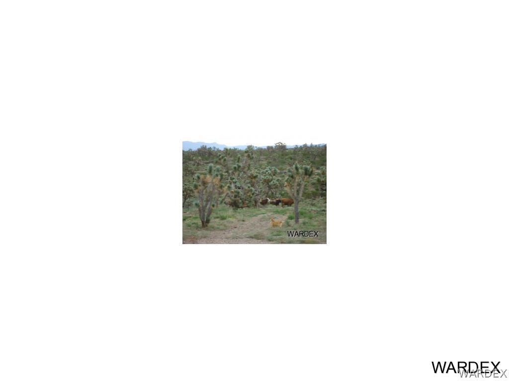 8-acres Amana Road Dolan Springs, AZ 86441 - Photo 6 of 11 a picture of a person on a field