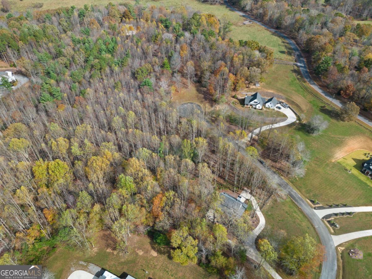 Lot 14 Highpoint Ridge Ellijay, GA 30536 - Photo 23 of 23 Gallery Image 23