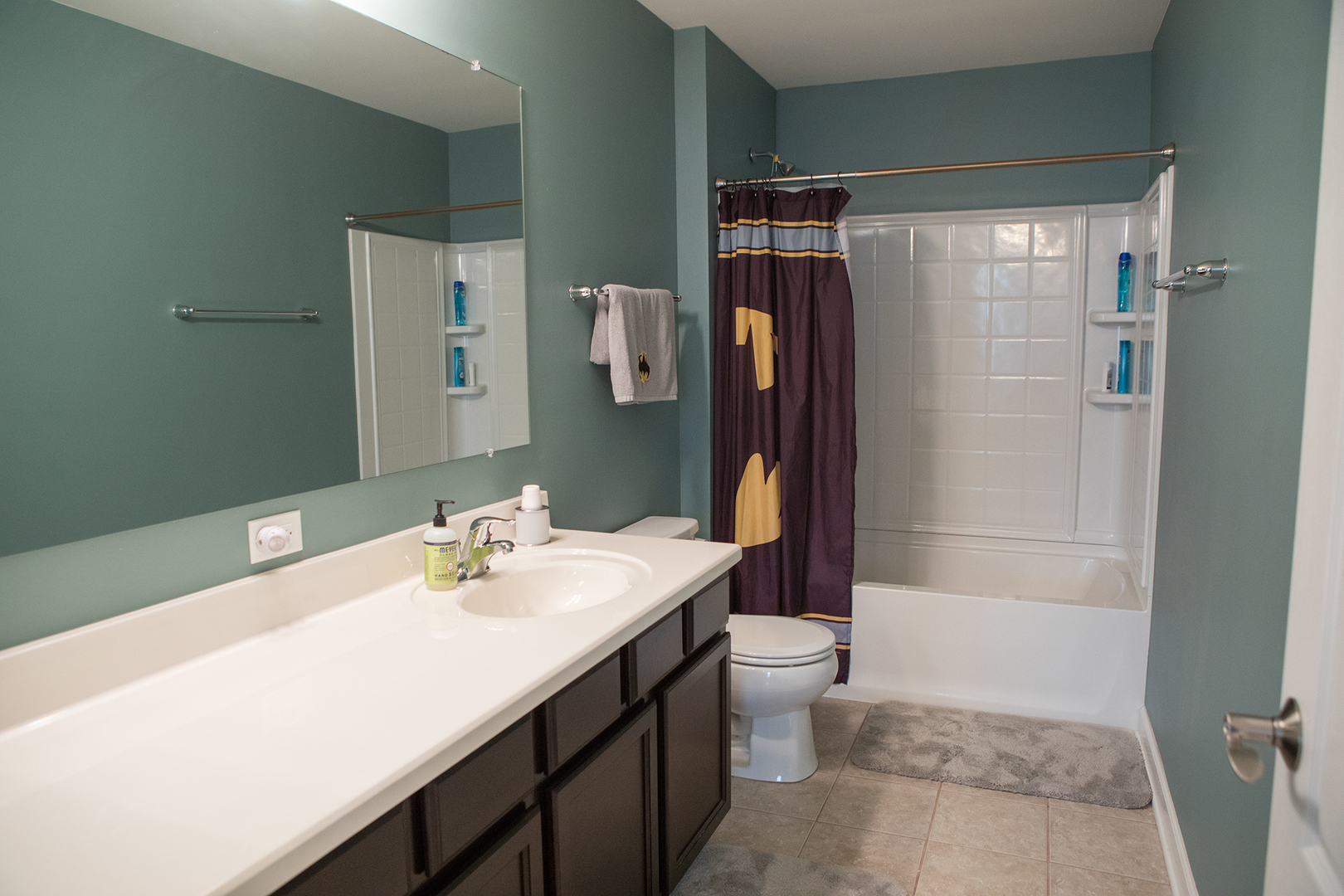 5718 Oak Ridge Way Lisle, IL 60532 - Photo 24 of 29 a bathroom with a sink a toilet and shower