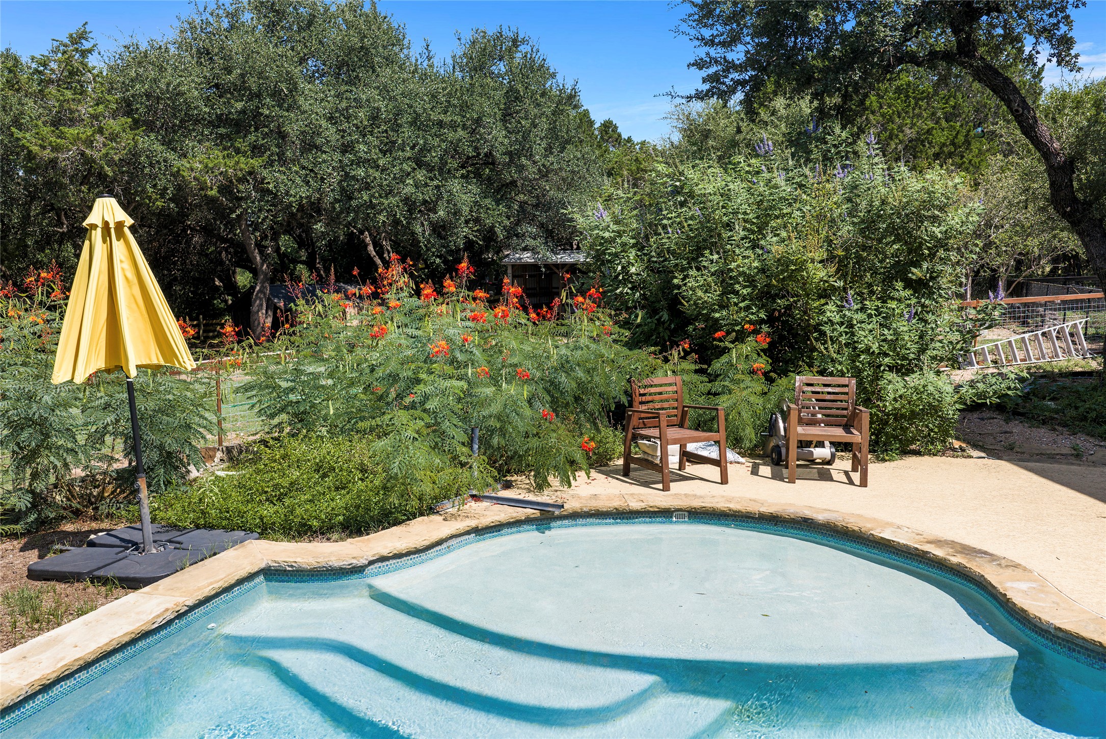 23224 Nameless Road Leander, TX 78641 - Photo 16 of 23 A tranquil backyard oasis features a glistening pool framed by lush landscaping and mature trees.