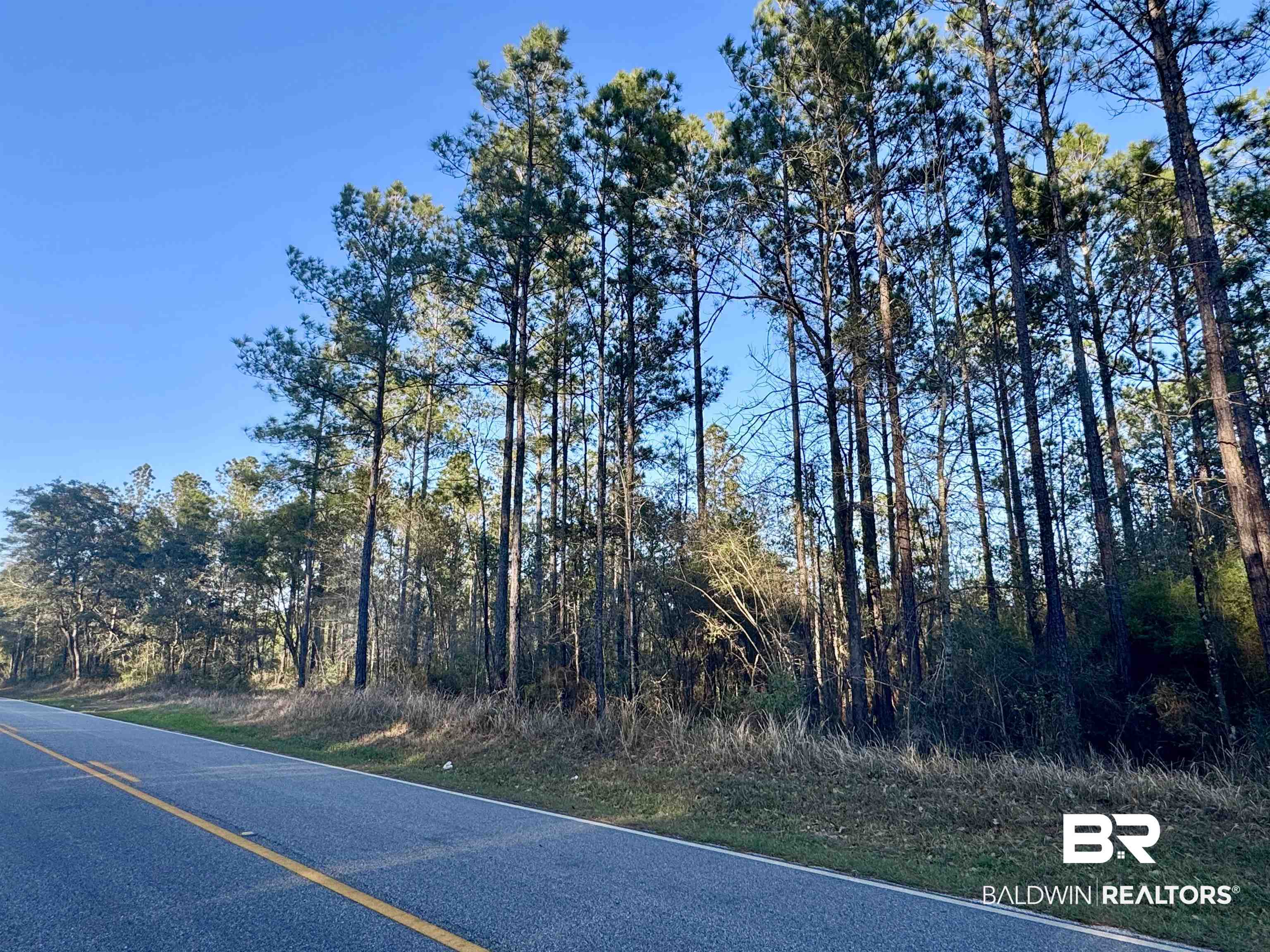 16690 CC Road Elberta, AL 36530 - Photo 3 of 19 Gallery Image 3