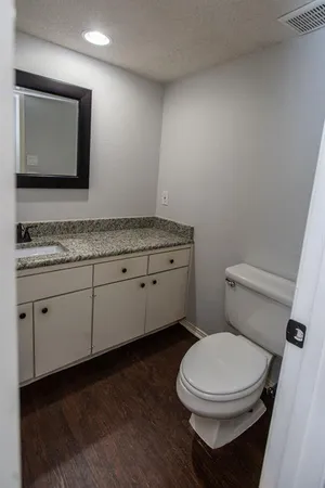 a bathroom with a toilet a sink and mirror