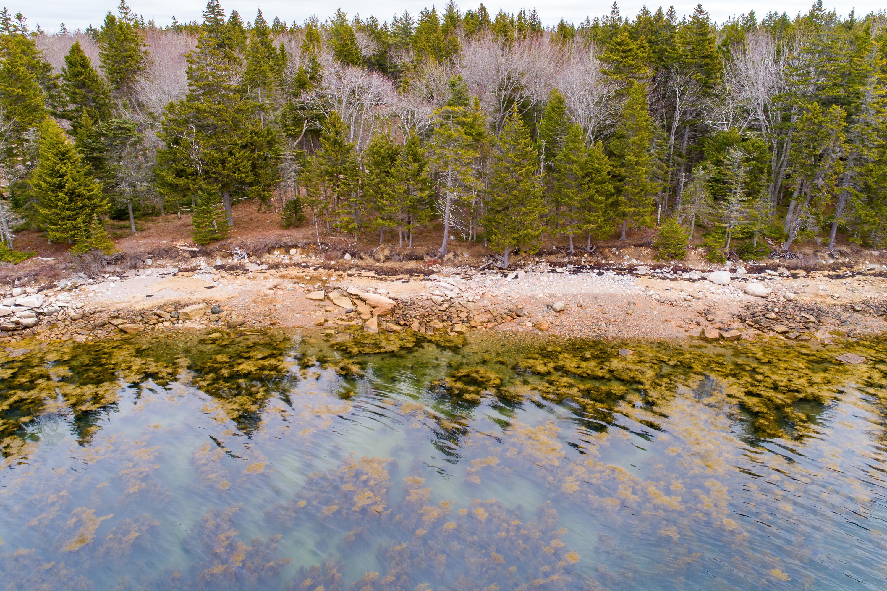 102 Estates Road, Unit LOT #3 Steuben, ME 04680 - Photo 9 of 21 Dolly Head