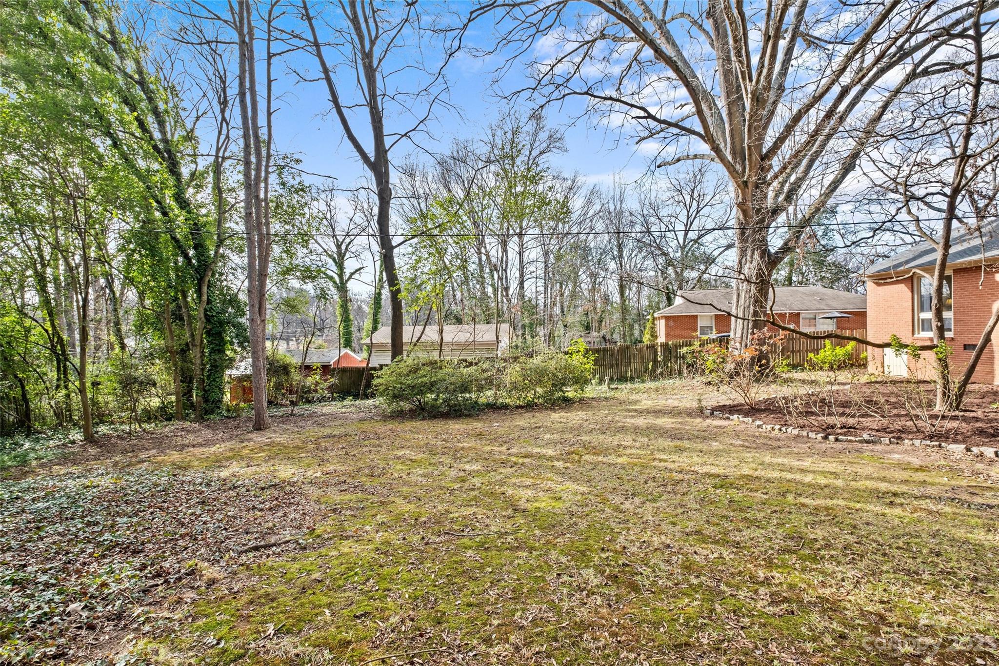 4439 Applegate Road Charlotte, NC 28209 - Photo 25 of 34 a view of a yard with a tree