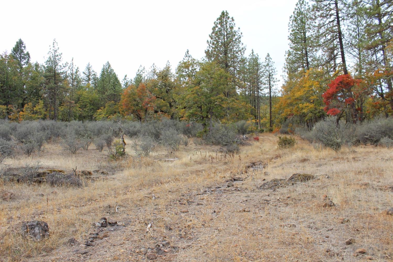 2120 Crowfoot Road Eagle Point, OR 97524 - Photo 23 of 25 Additional Photo
