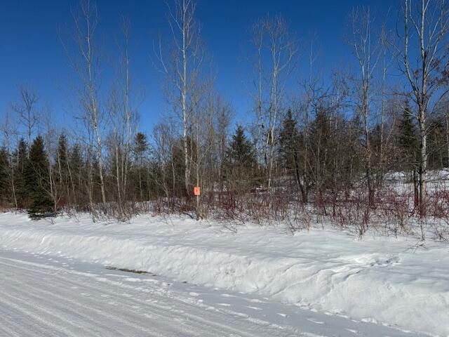 C McDonald Road Mapleton, ME 04757 - Photo 5 of 9 IMG_2251
