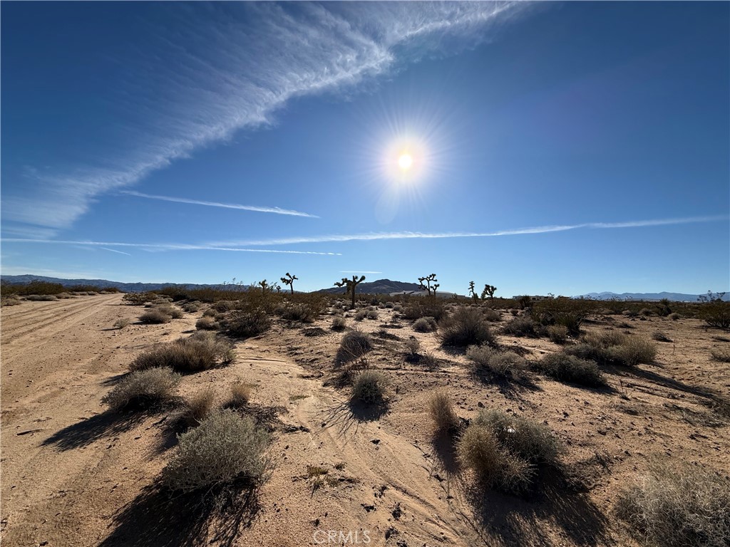 0 Manana Joshua Tree, CA 92252 - Photo 1 of 13