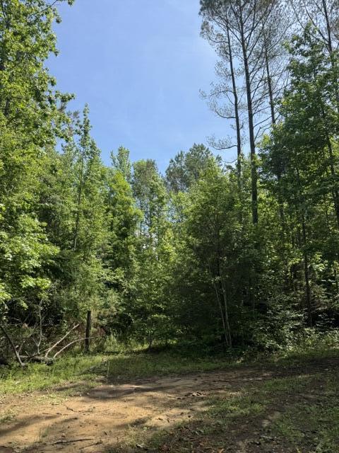 2784 Fiery Gizzard Road South Pittsburg, TN 37380 - Photo 15 of 19 Hankins 18