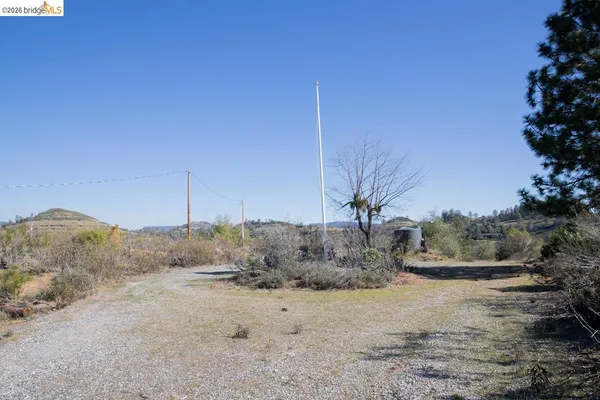 a view of a dry yard with trees