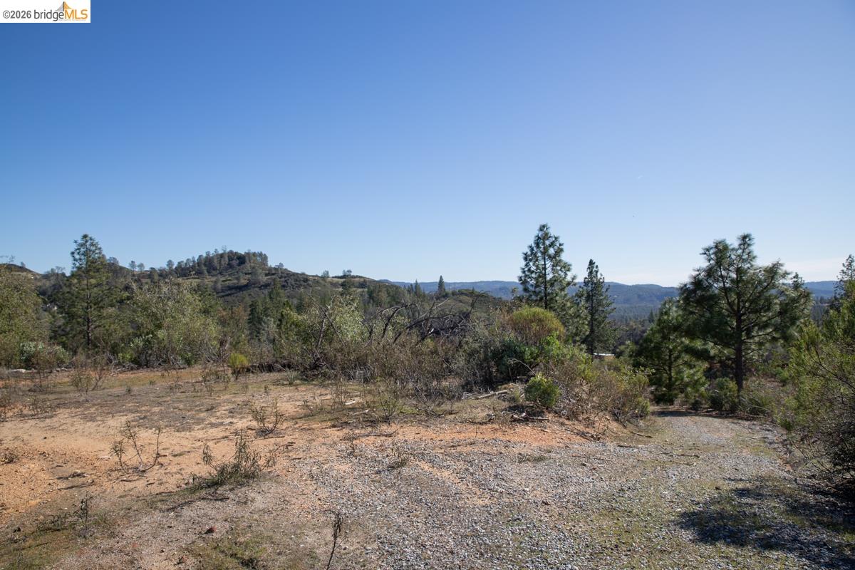 7329 Eagle View Drive Mountain Ranch, CA 95246 - Photo 11 of 11 a view of a dry yard with trees in the background