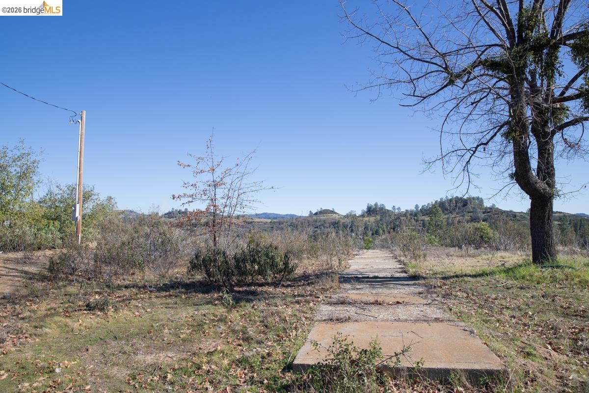 7329 Eagle View Drive Mountain Ranch, CA 95246 - Photo 4 of 11 a view of a yard