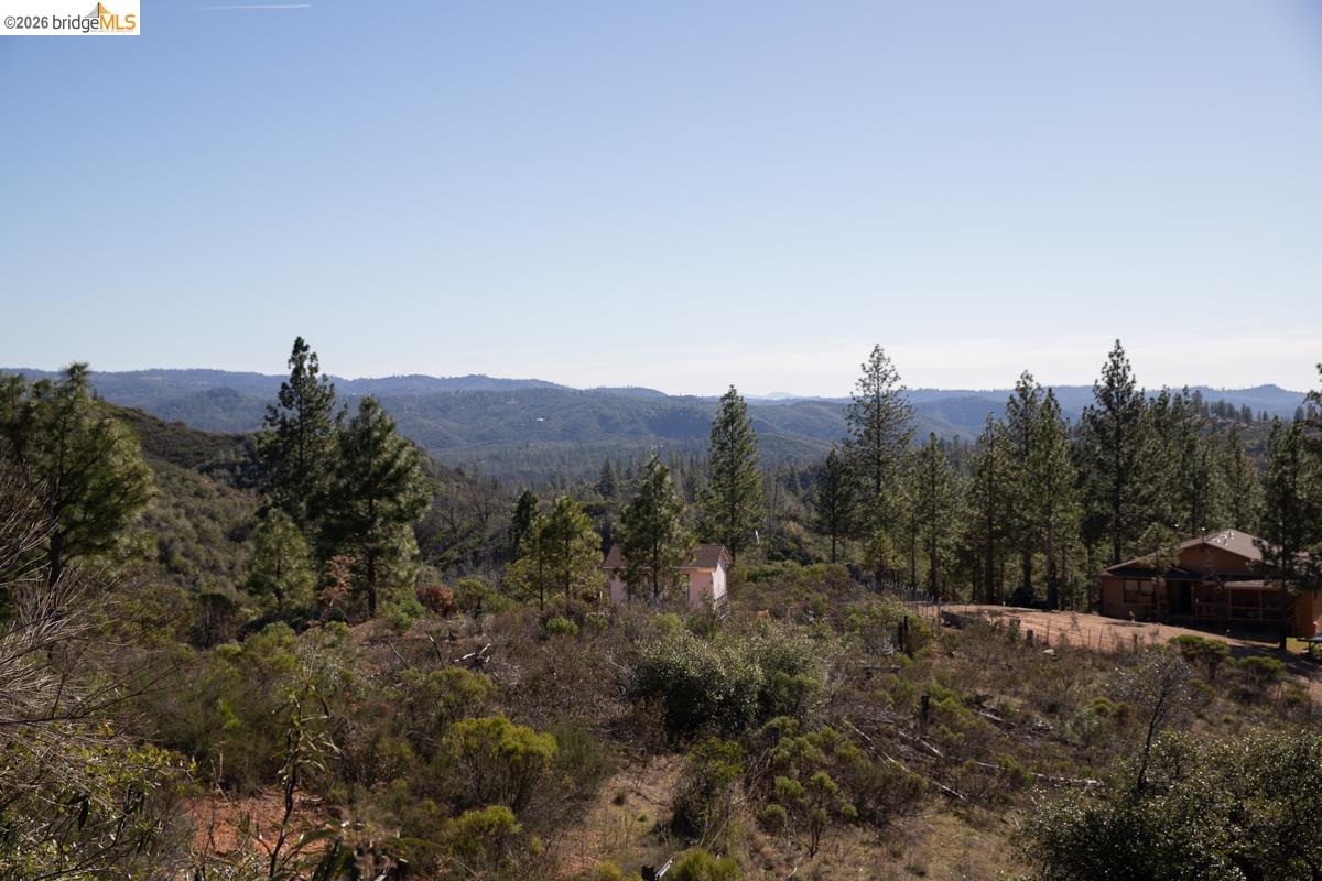 7329 Eagle View Drive Mountain Ranch, CA 95246 - Photo 6 of 11 a view of a bunch of trees in a field