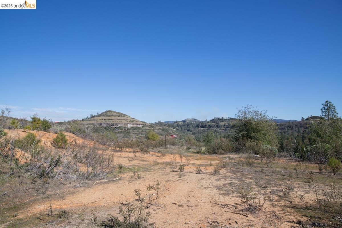 7329 Eagle View Drive Mountain Ranch, CA 95246 - Photo 8 of 11 a view of a dry yard