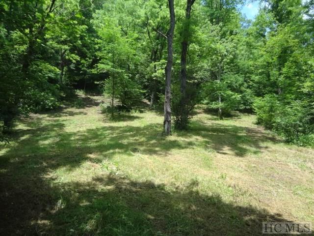0 Ellijay Road Franklin, NC 28734 - Photo 4 of 22 Gallery Image 4