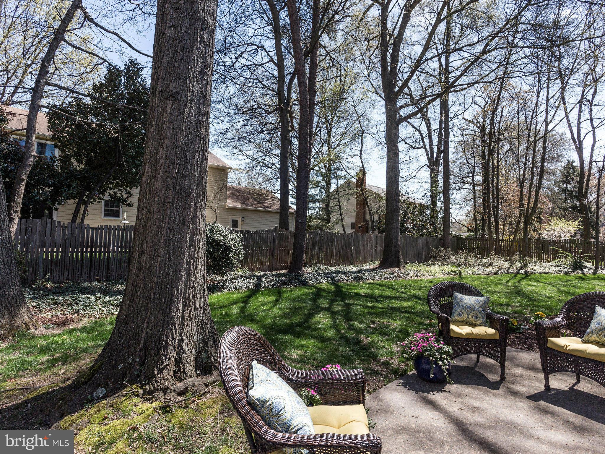 8231 Crown Court Road Alexandria, VA 22308 - Photo 29 of 30 a view of a backyard with couches plants and large trees