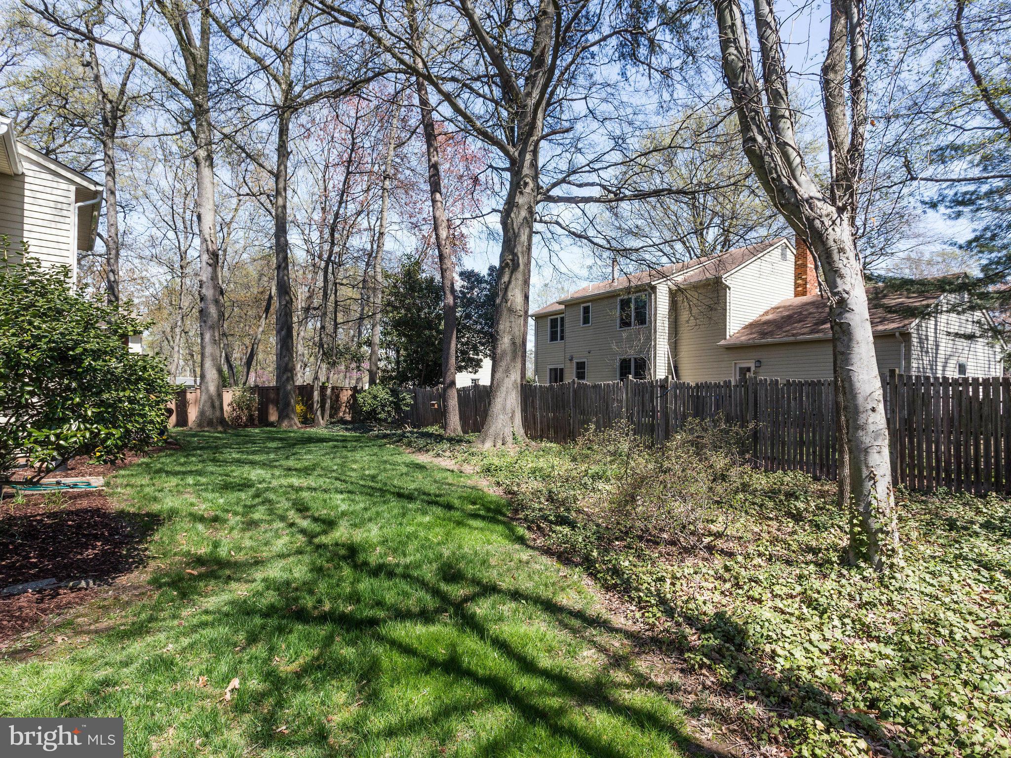 8231 Crown Court Road Alexandria, VA 22308 - Photo 30 of 30 a backyard of a house with lots of green space