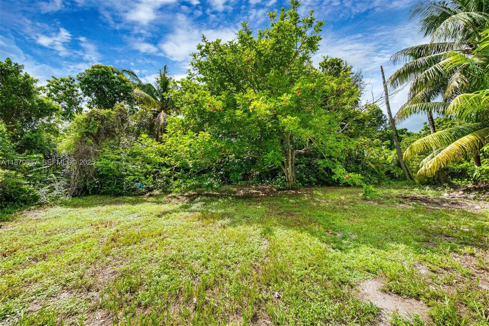 14150 Northwest 2nd Avenue Miami, FL 33168 - Photo 36 of 38 a view of yard with green space