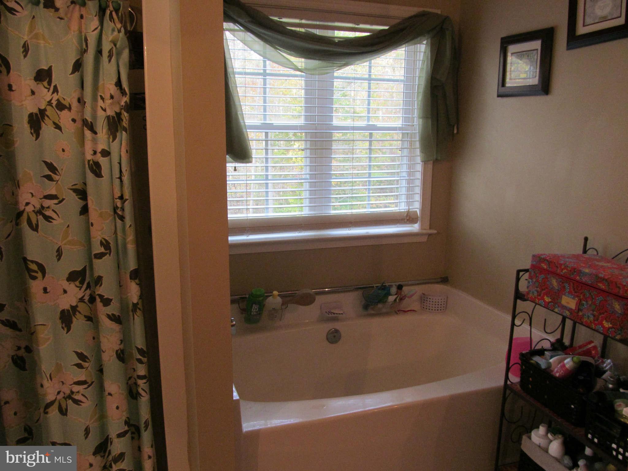 7626 Leeds Manor Road Marshall, VA 20115 - Photo 12 of 26 Bath (Master)