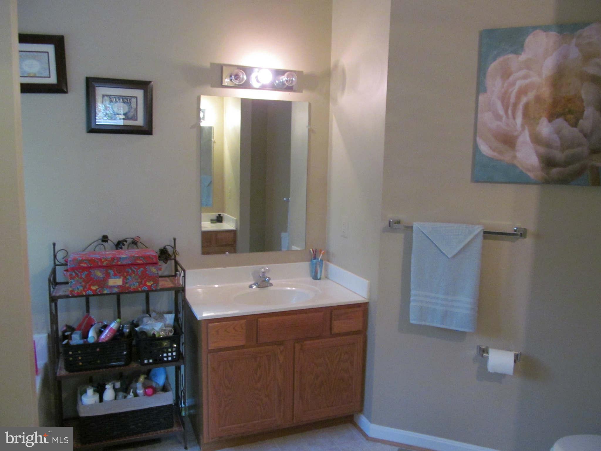 7626 Leeds Manor Road Marshall, VA 20115 - Photo 10 of 26 Bath (Master)