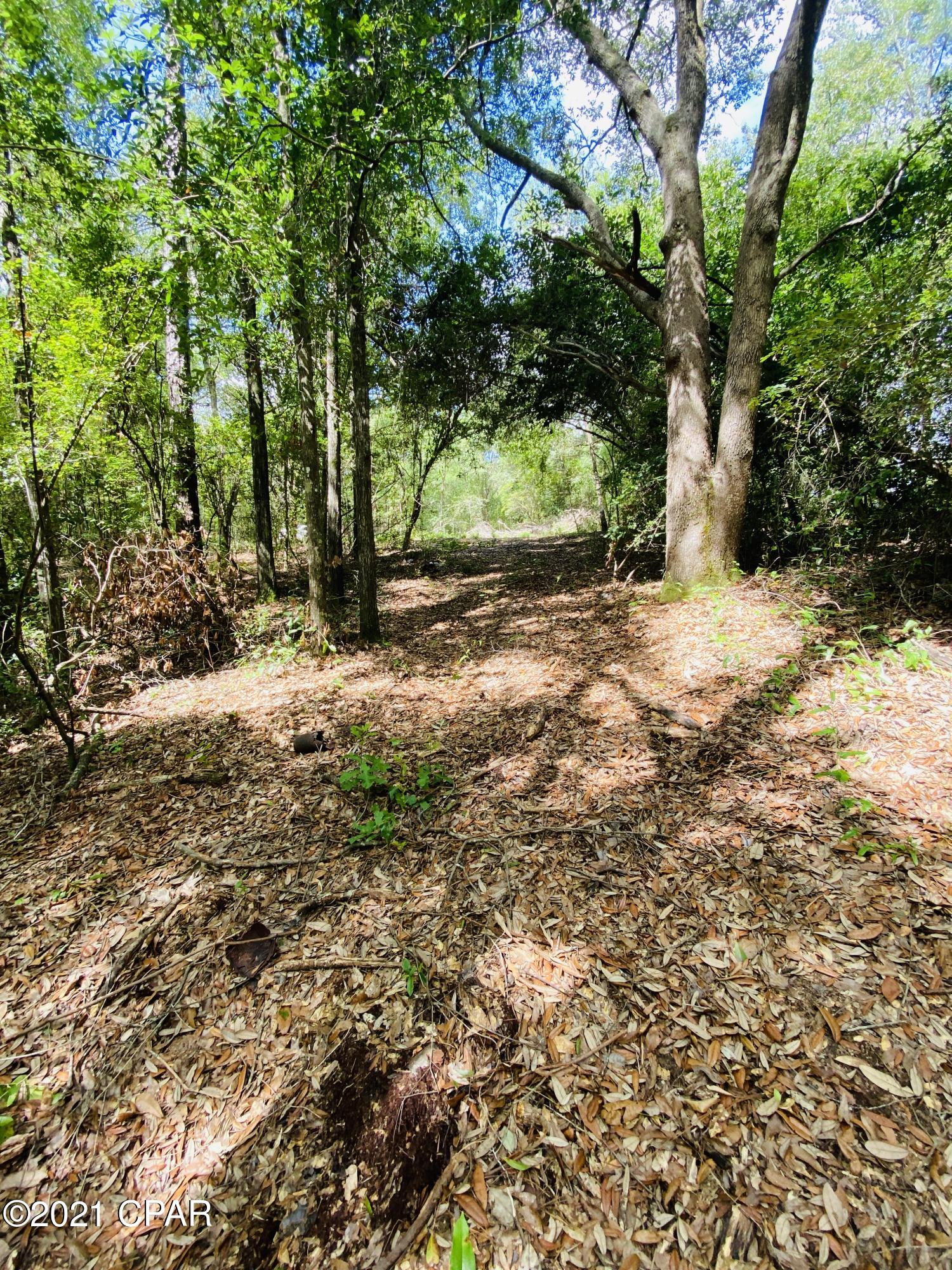 0 Grassy Pond Road, Unit GREENHEAD) Chipley, FL 32428 - Photo 7 of 22 Gallery Image 7