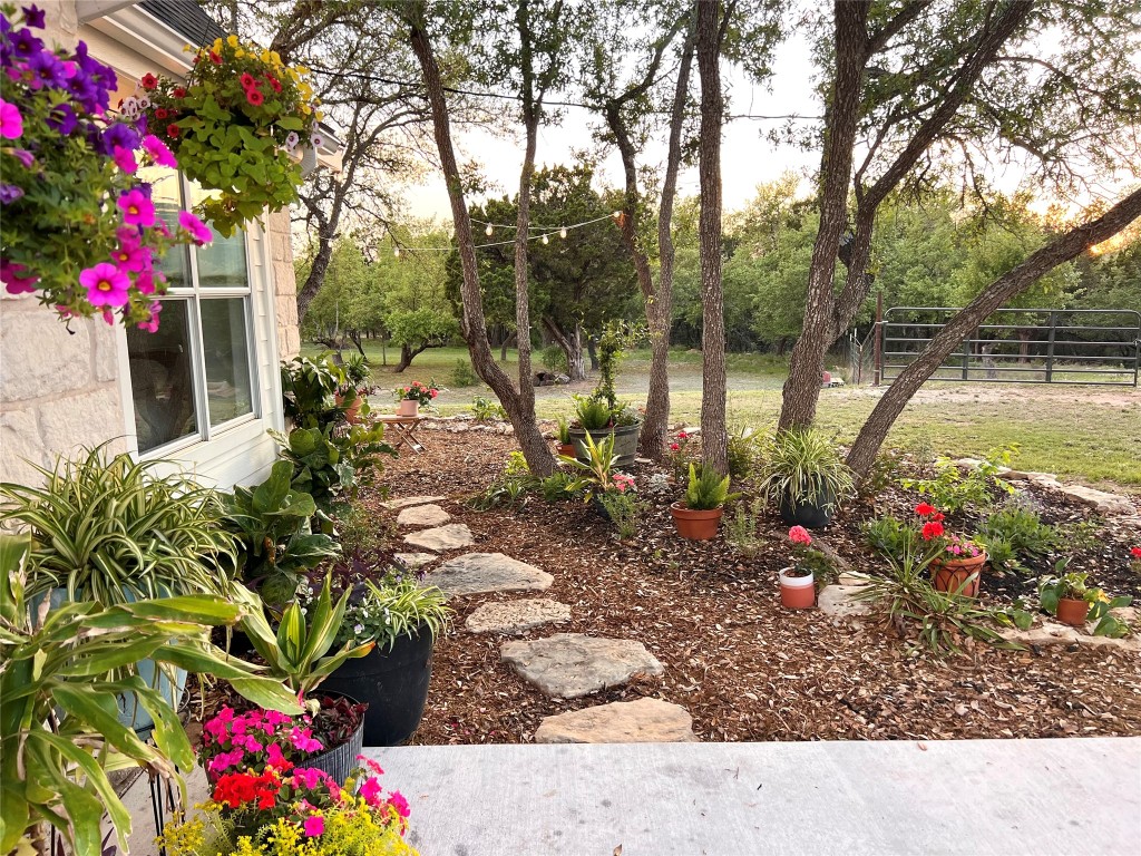 7197 Mt Sharp Road Wimberley, TX 78676 - Photo 3 of 39 a view of a backyard with potted plants and large trees