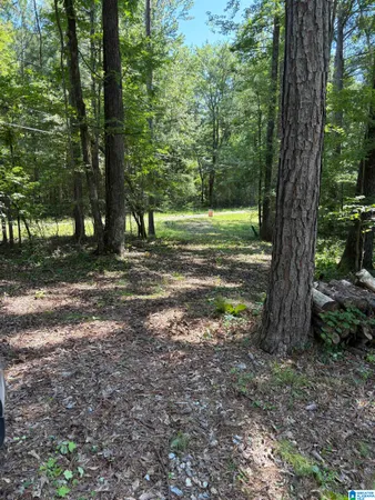 $14,000 | 0 Pine Glen Road, Unit 79, Talladega, AL 35160