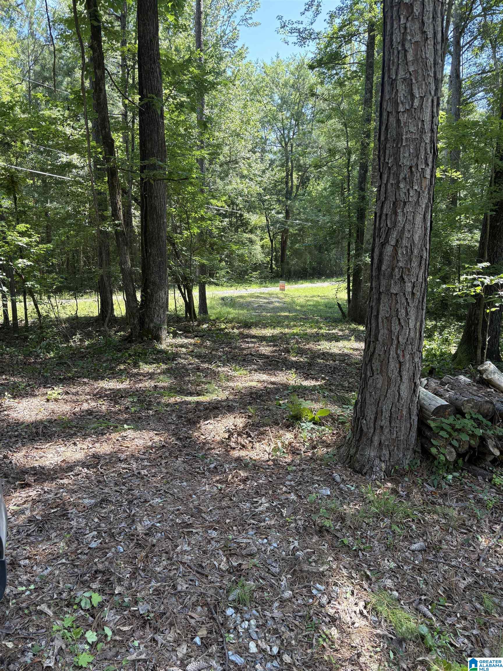 0 Pine Glen Road, Unit 79 Talladega, AL 35160 - Photo 1 of 6