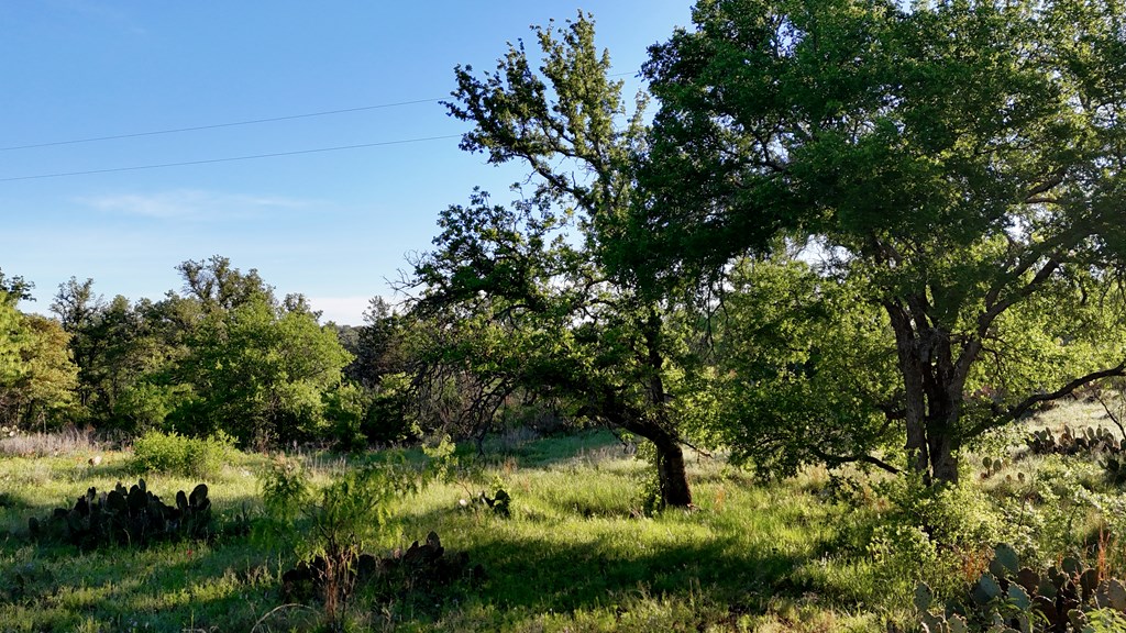 Tbd Tbd Madden Ranch Road Valley Spring, TX 76885 - Photo 17 of 46 Gallery Image 17