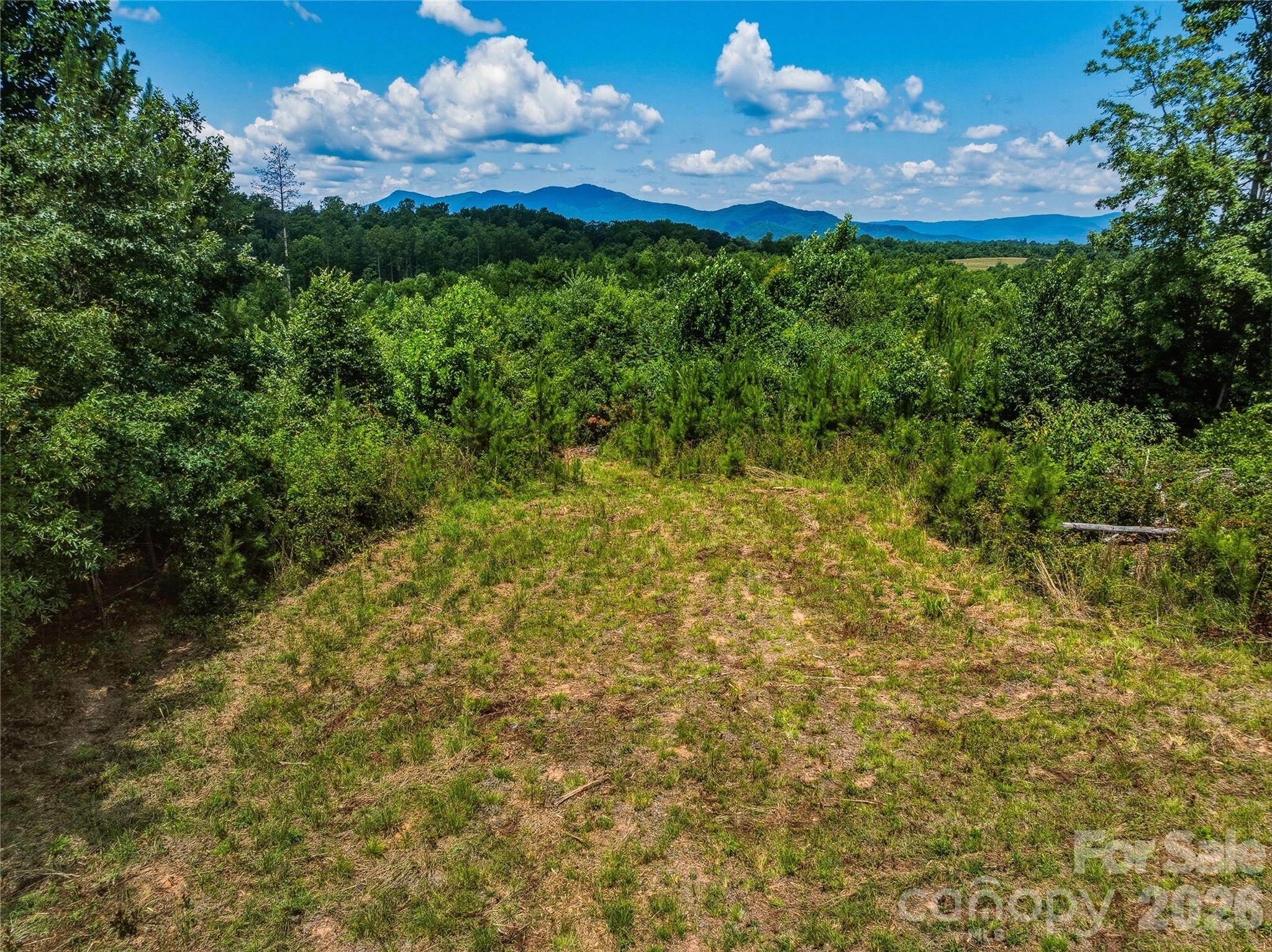 6783 Peniel Road Tryon, NC 28782 - Photo 14 of 36