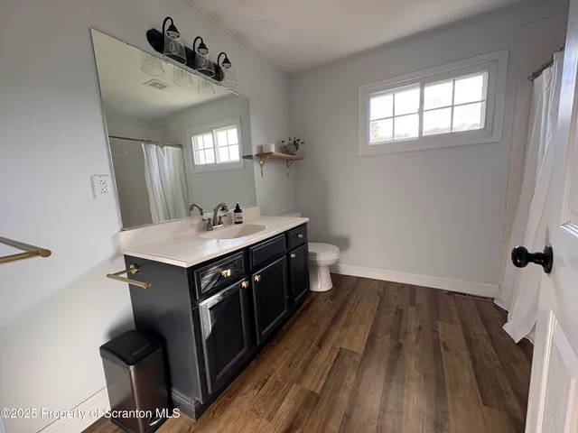 a bathroom with a sink toilet and vanity