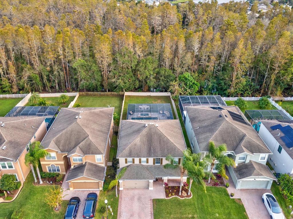 12830 Solola Way Trinity, FL 34655 - Photo 67 of 71 Gallery Image 67