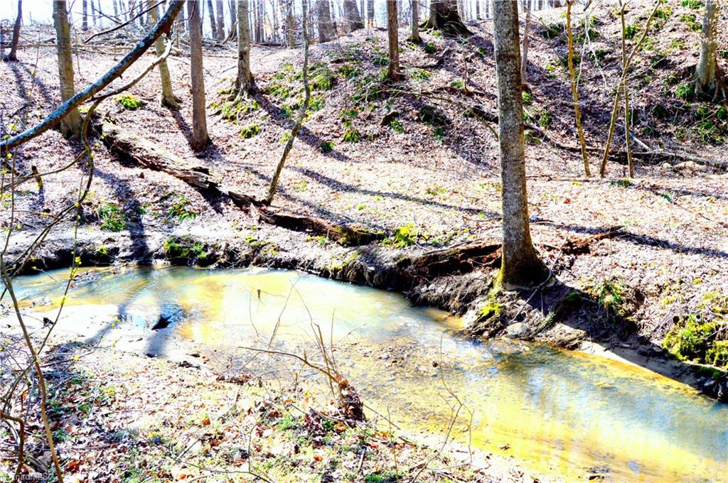 0 O Obryant Road Reidsville, NC 27320 - Photo 1 of 16 Gallery Image 1